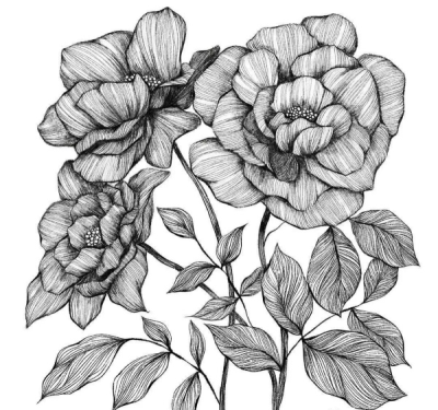 创意花卉图与饲料的奇妙结合