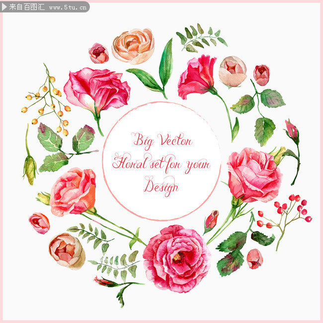 水彩花卉植物花纹边框素材 艺术与自然的完美融合